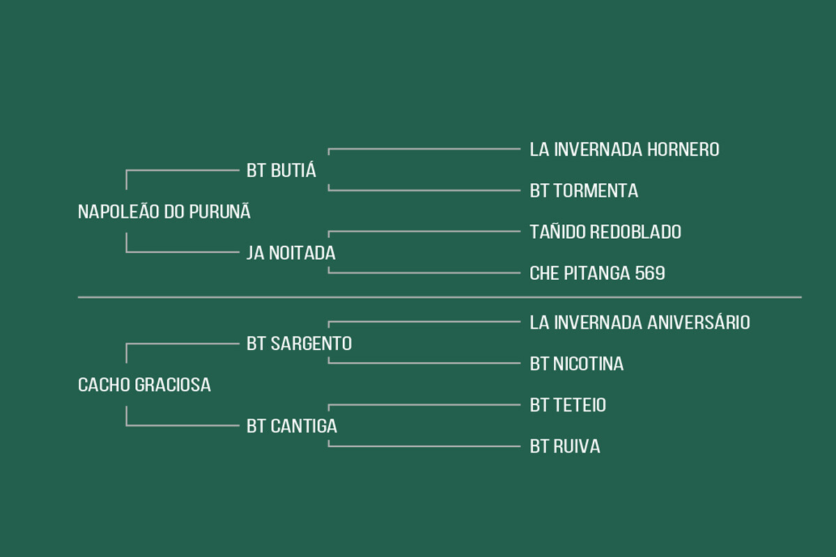 Geração INVEJÁVEL DA MATARAZZO