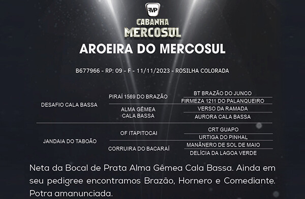 Geração AROEIRA DO MERCOSUL
