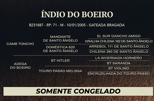 Geração INDIO DO BOEIRO