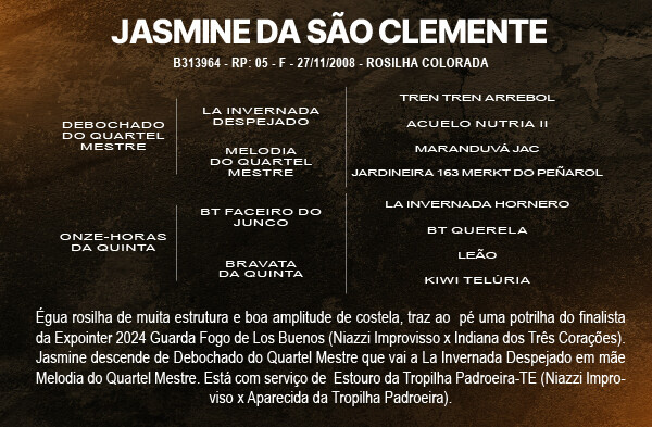 Geração JASMINE DA SÃO CLEMENTE