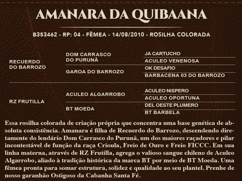 Geração AMANARA DA QUIBAANA