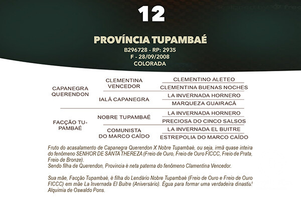 Geração PROVINCIA TUPAMBAÉ