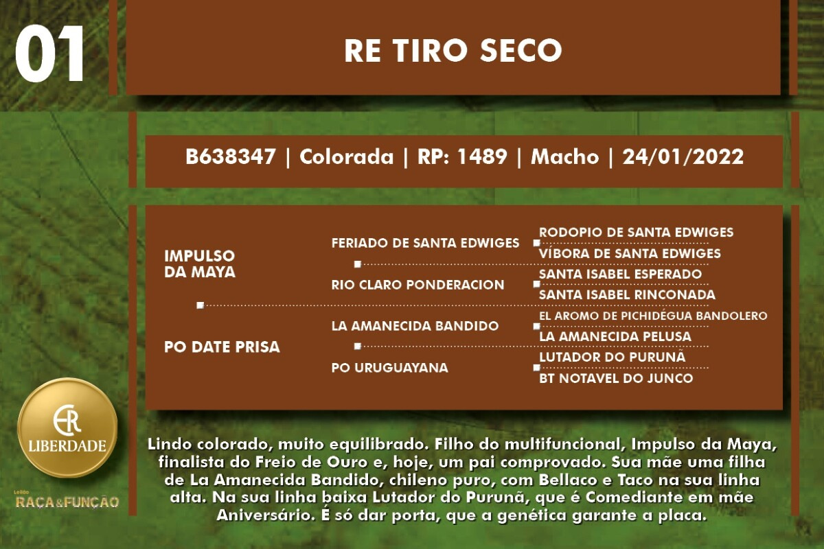Geração RE TIRO SECO
