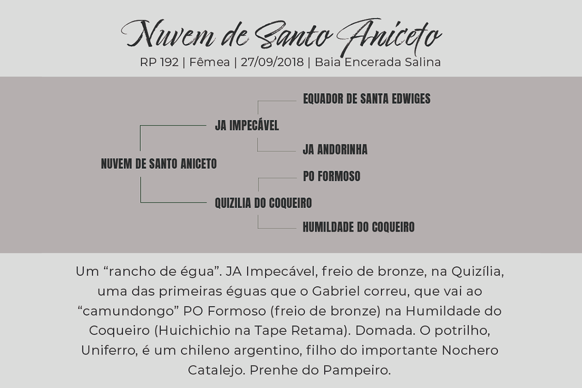 Geração  NUVEM DE SANTO ANICETO