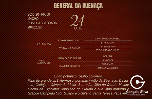 Geração GENERAL DA BUENAÇA