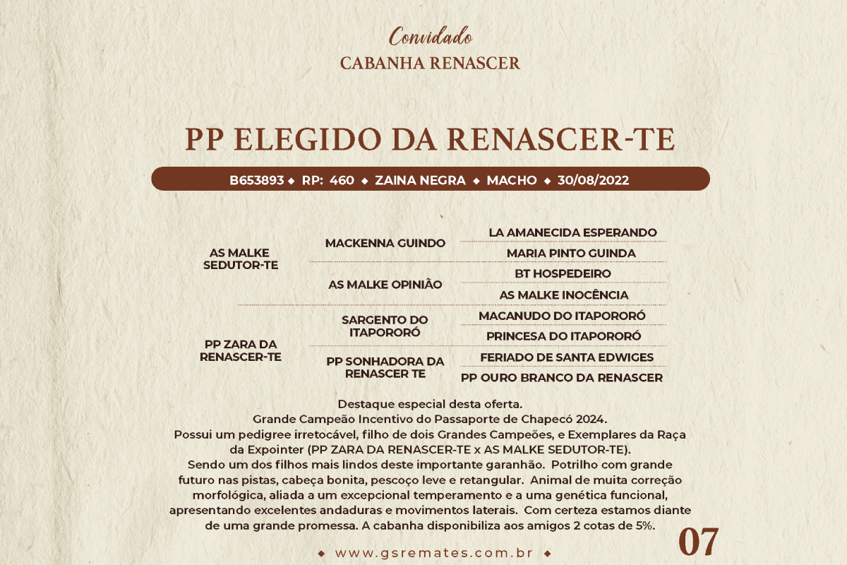 Geração PP ELEGIDO DA RENASCER-TE (VENDA DUAS COTAS DE 5%)