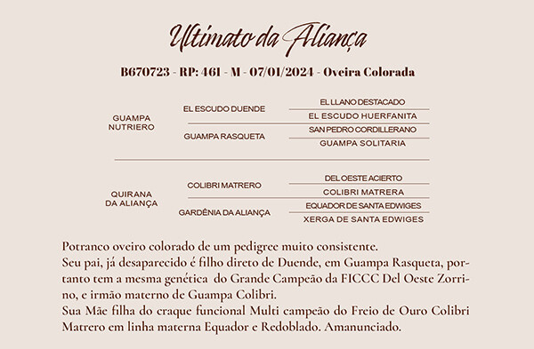 Geração ULTIMATO DA ALIANÇA