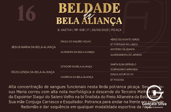 Geração BELDADE DA BELA ALIANÇA