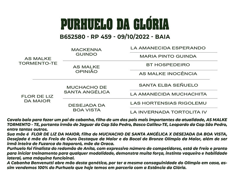 Geração PURHUELO DA GLÓRIA 