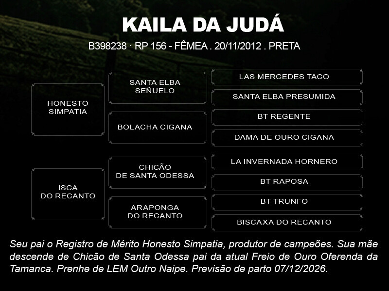 Geração KAILA DA JUDA 