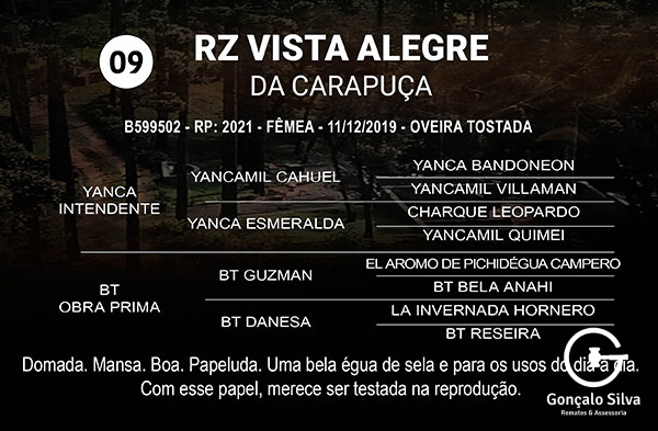 Geração RZ VISTA ALEGRE DA CARAPUÇA