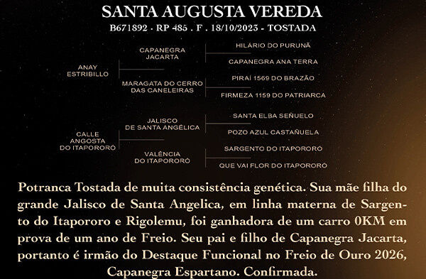 Geração SANTA AUGUSTA VEREDA