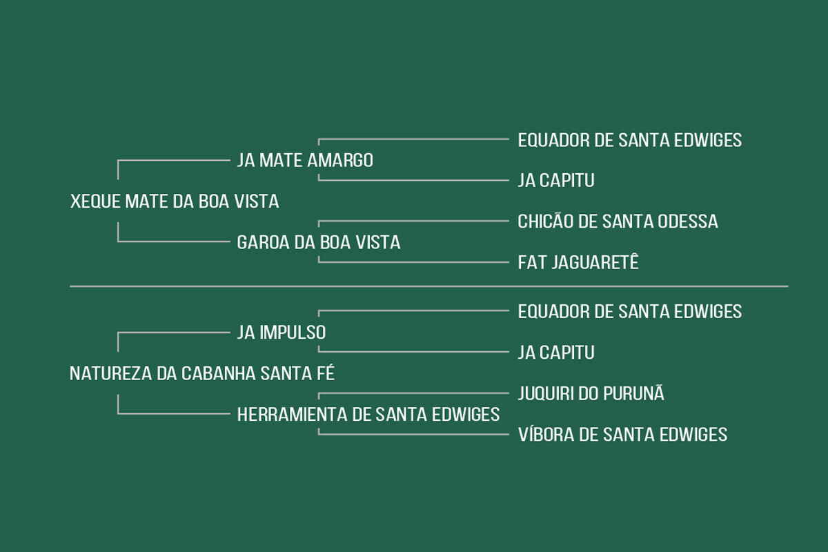 Geração VICENZA DA CABANHA FÉ
