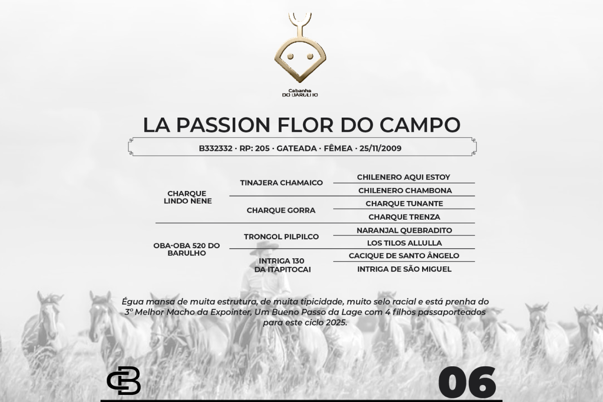 Geração LA PASSION FLOR DO CAMPO