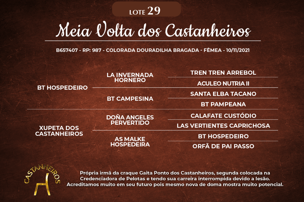 Geração MEIA VOLTA DOS CASTANHEIROS
