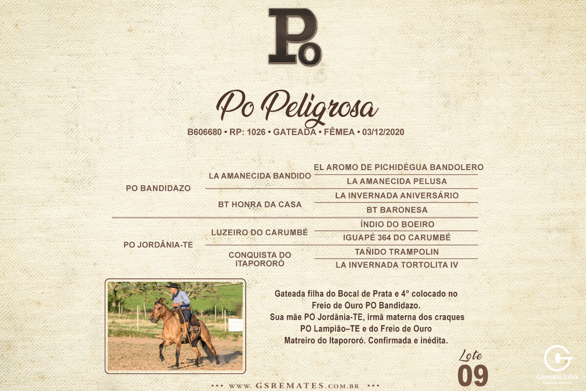 Geração PO PELIGROSA 