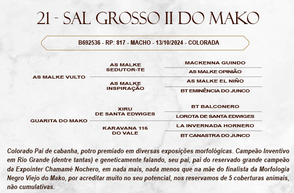 Geração SAL GROSSO II DO MAKO