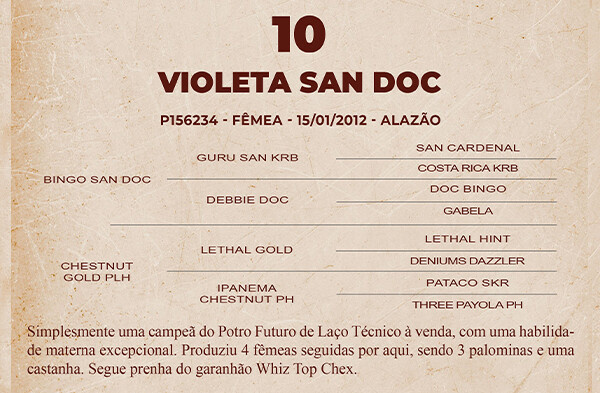 Geração VIOLETA SAN DOC