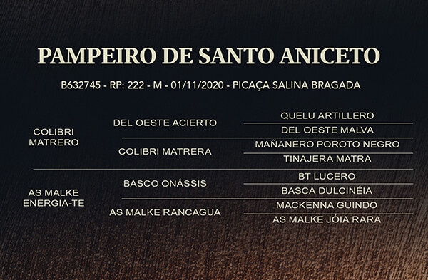 Geração PAMPEIRO DE SANTO ANICETO 