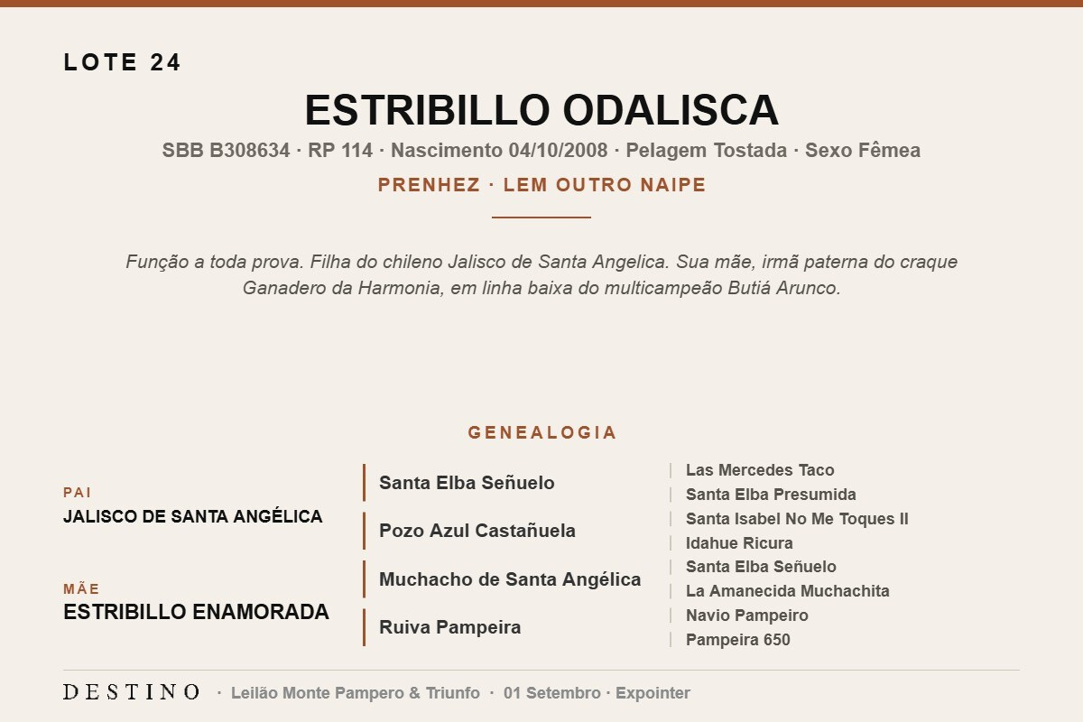 Geração ESTRIBILLO ODALISCA