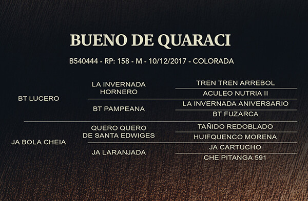 Geração  BUENO DE QUARACI