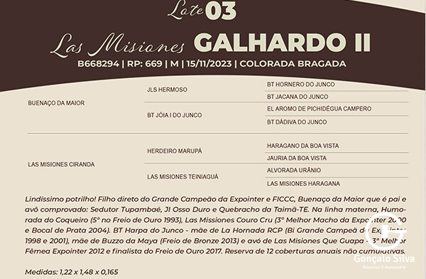 Geração LAS MISIONES GALHARDO II