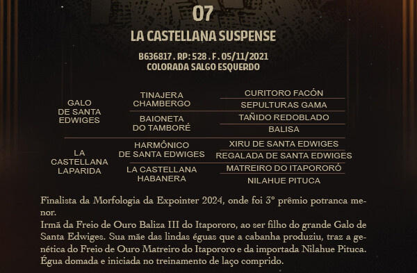 Geração LA CASTELLANA SUSPENSE