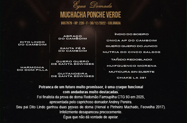 Geração MUCHACHA PONCHE VERDE