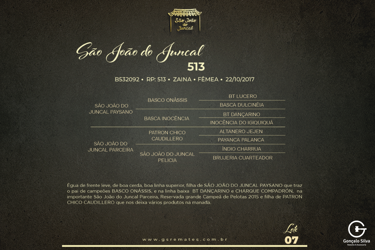 Geração SÃO JOÃO DO JUNCAL 513