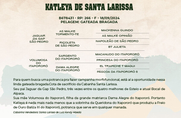 Geração KATLEYA DE SANTA LARISSA