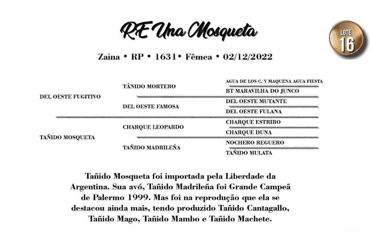 Geração RE UNA MOSQUETA (VENDA VERTICAL)