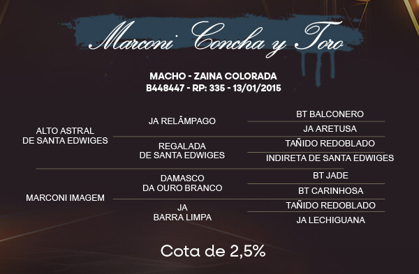 Geração COTA 2,5% MARCONI CONCHA Y TORO