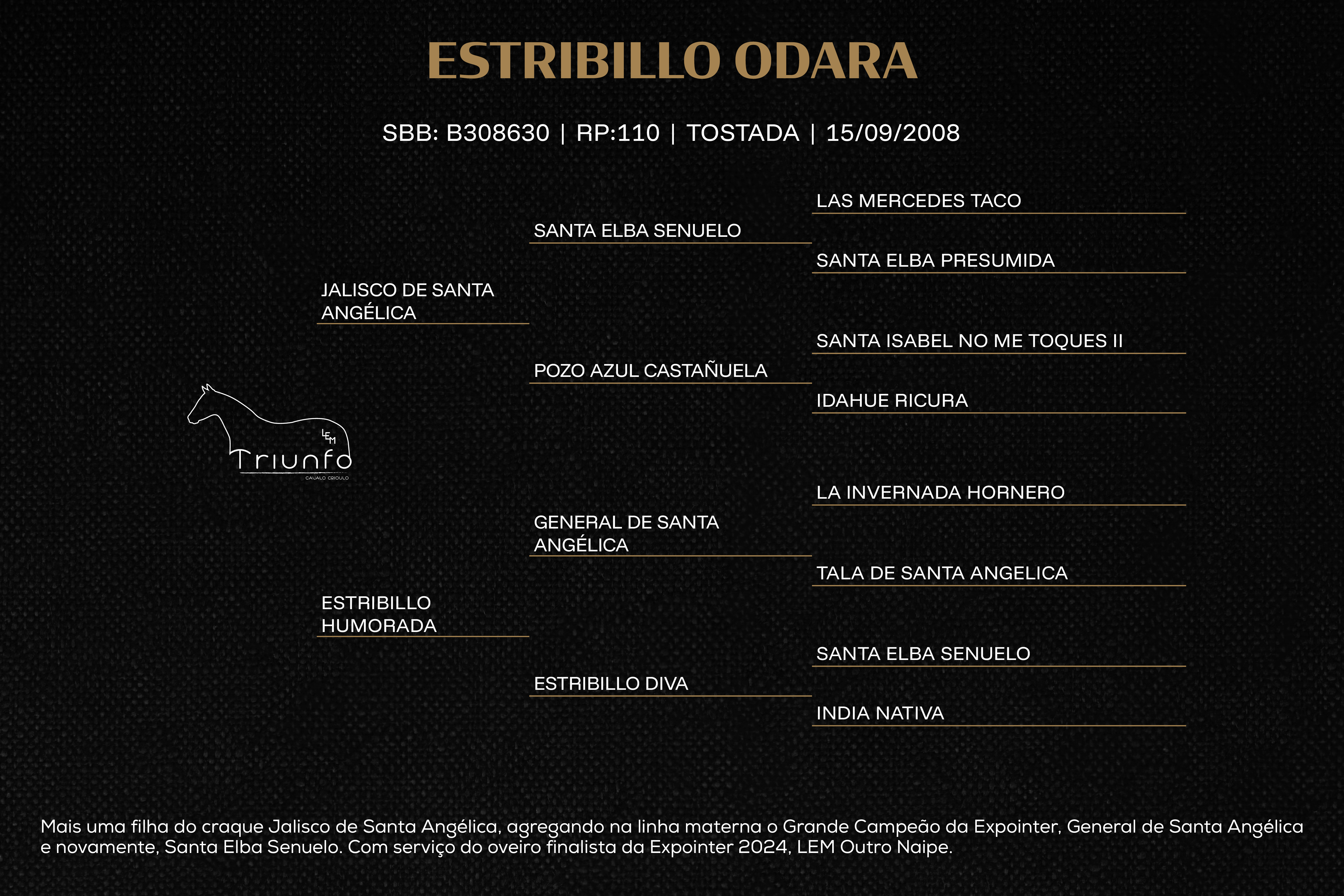 Geração ESTRIBILLO ODARA