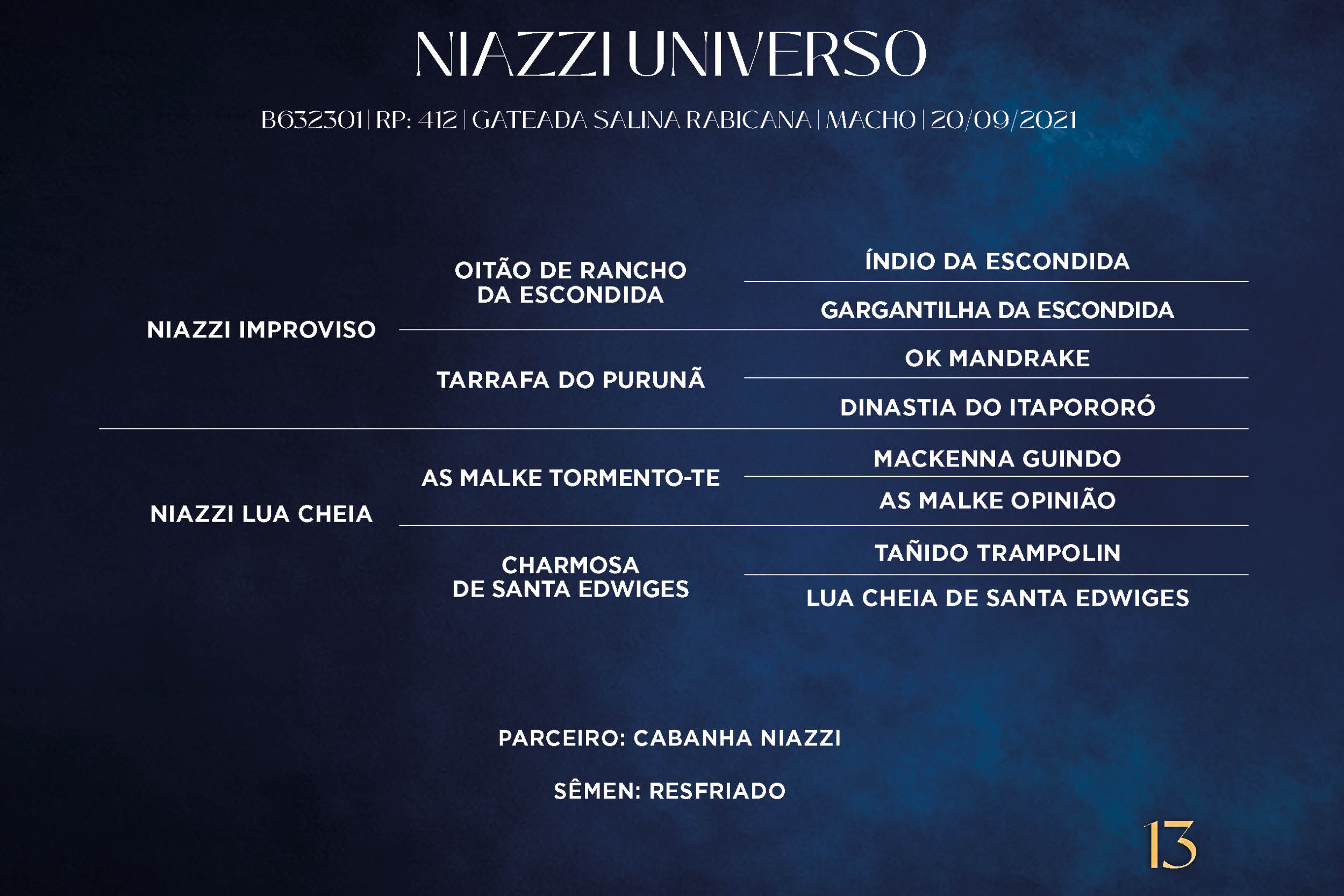 Geração NIAZZI UNIVERSO
