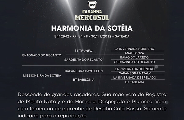 Geração HARMONIA DA SOTEIA 