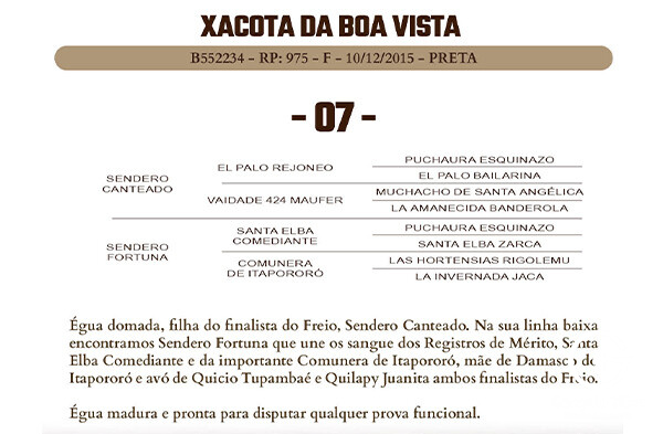 Geração XACOTA DA BOA VISTA 