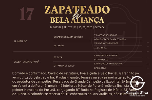 Geração ZAPATEADO DA BELA ALIANÇA