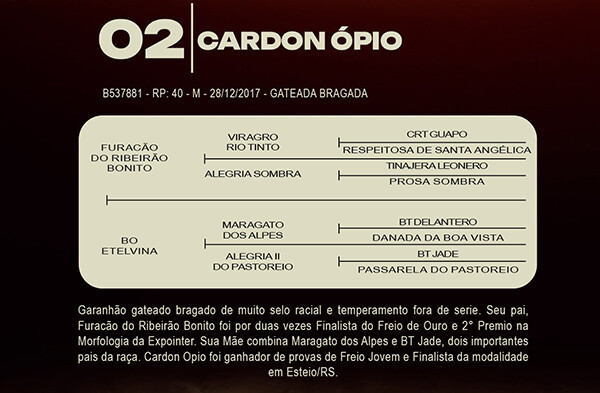 Geração CARDON OPIO