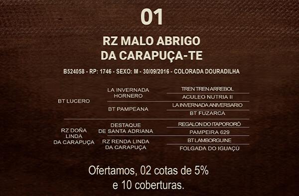 Geração RZ MALO ABRIGO DA CARAPUÇA-TE (COTA DE 5%)