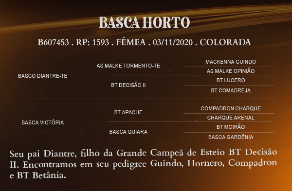 Geração BASCA HORTO