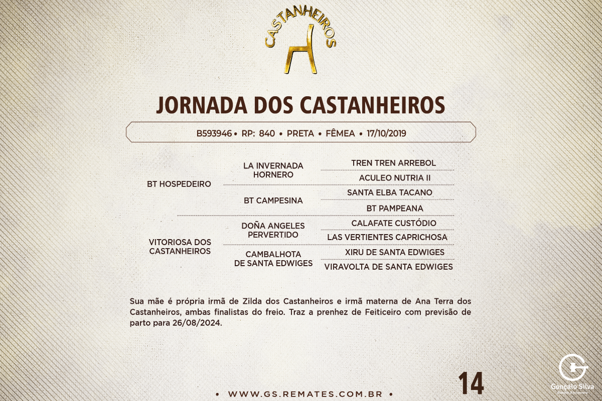 Geração JORNADA DOS CASTANHEIROS