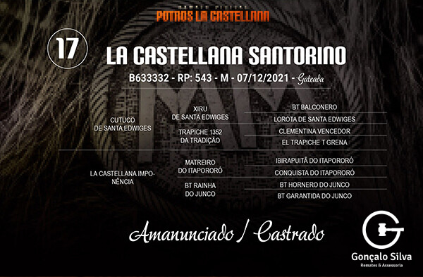 Geração LA CASTELLANA SANTORINO