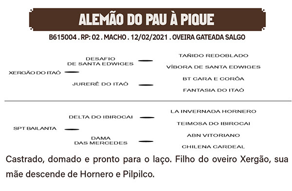 Geração ALEMÃO DO PAU A PIQUE