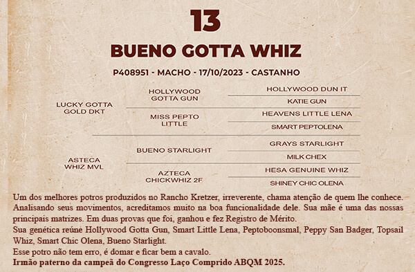 Geração BUENO GOTTA WHIZ