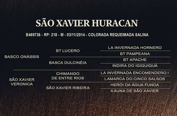 Geração SÃO XAVIER HURACAN