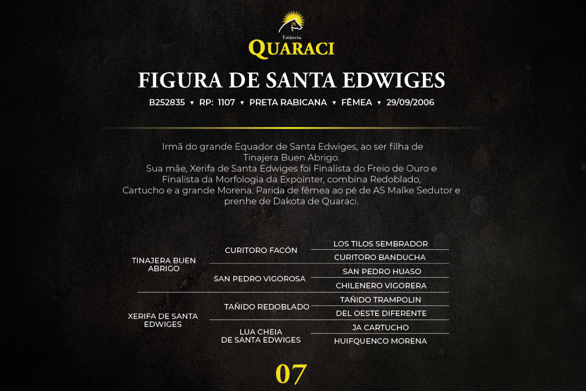 Geração FIGURA DE SANTA EDWIGES