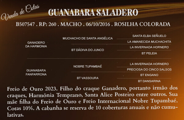 Geração COTA DE 10% - GUANABARA SALADERO 