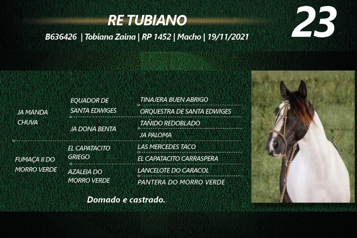 Geração RE TUBIANO