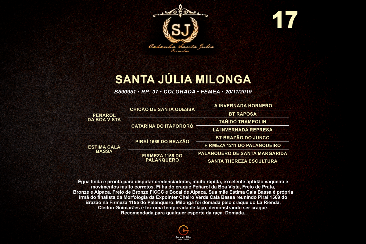 Geração SANTA JÚLIA MILONGA 