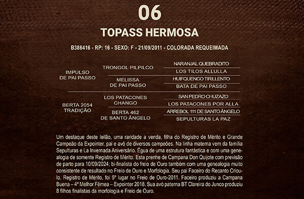Geração TOPASS HERMOSA
